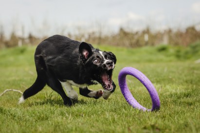 33791942132_ff48c59943_k