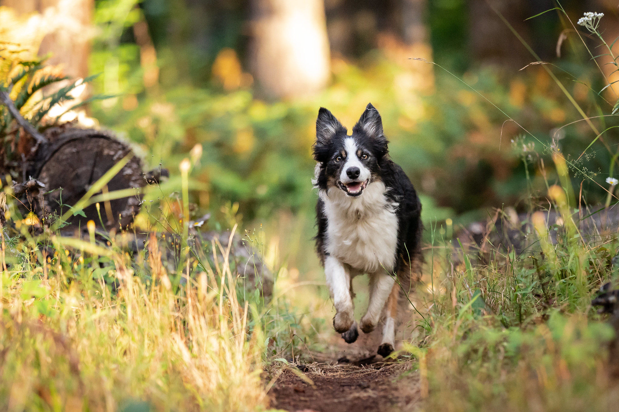 50200828843_e848f0dc60_k