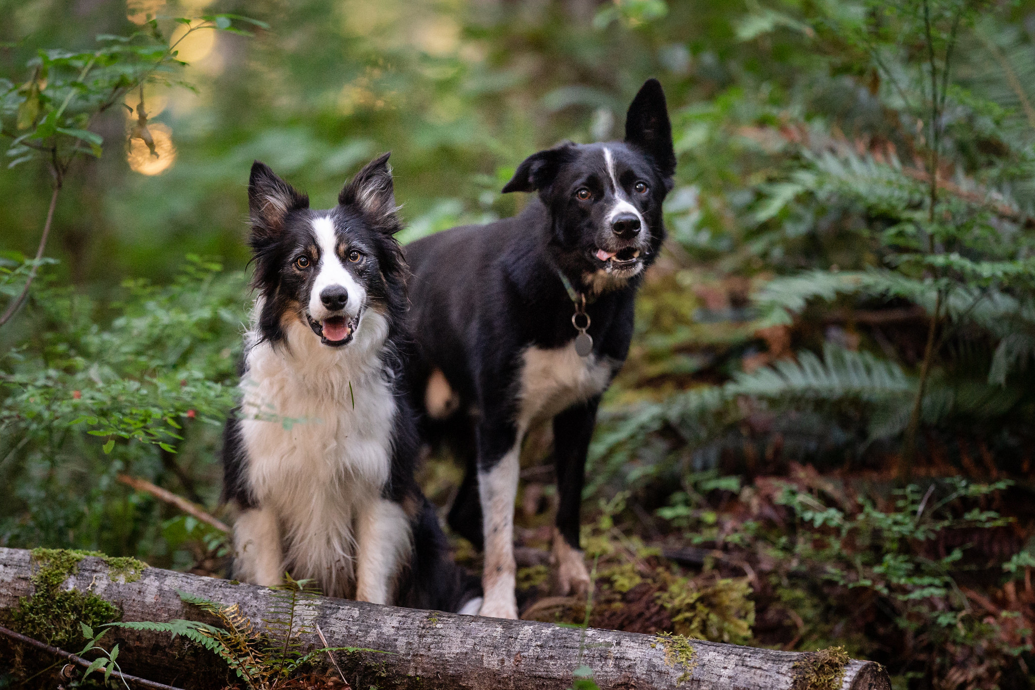 50200844668_b57b7ecd52_k