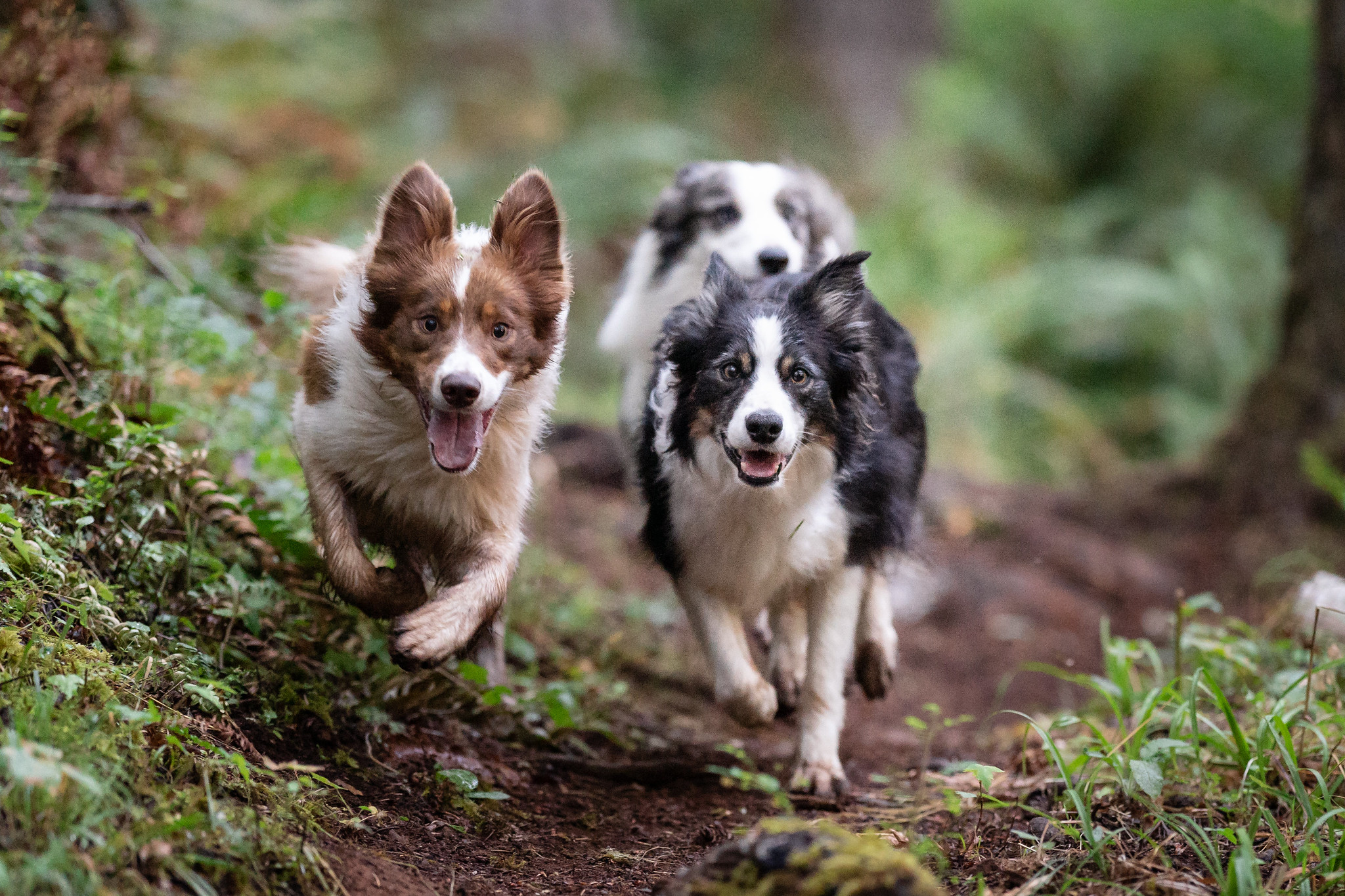 50200851048_7c54833392_k