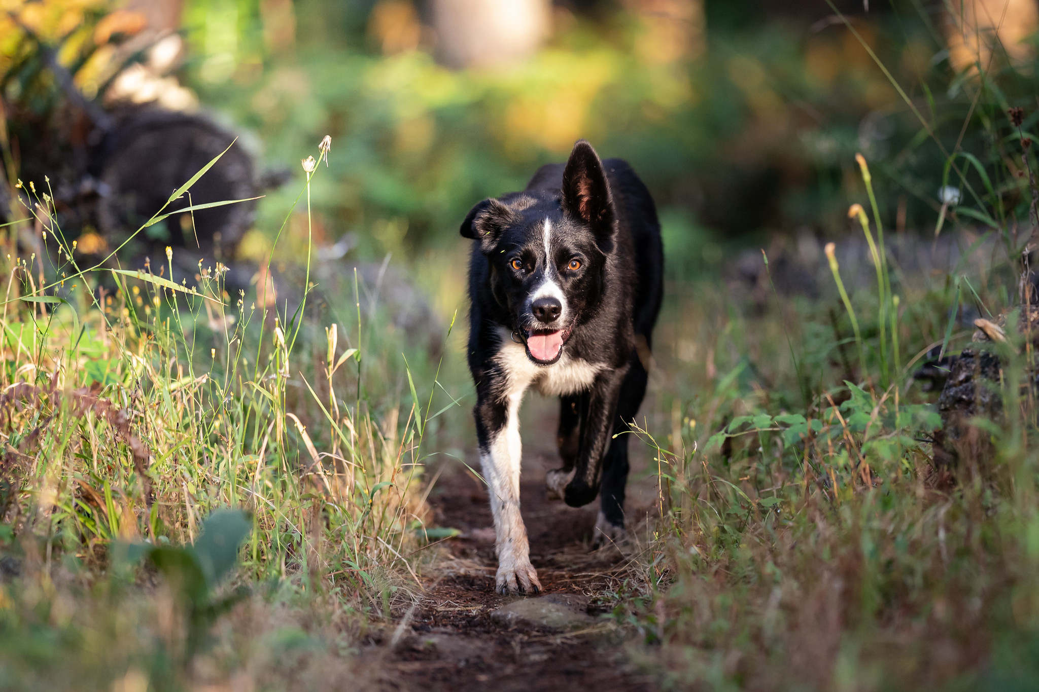 50201371691_8f25ee9956_k